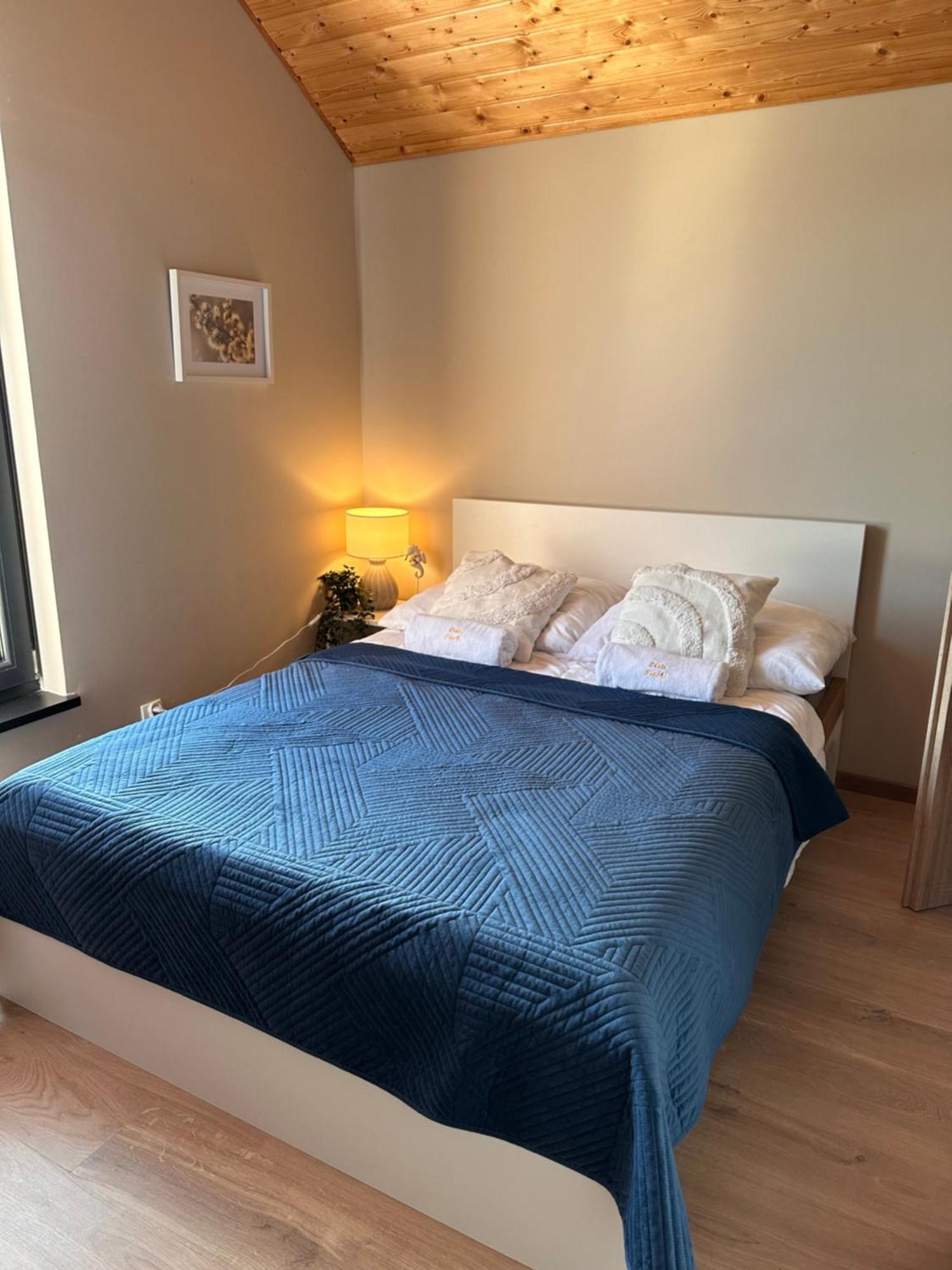 Domki Zlote Piaski Kryty Basen Sauna Jacuzzi Jastrzębia Góra Extérieur photo